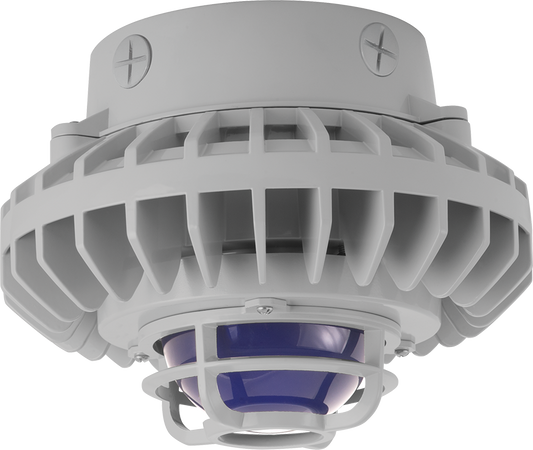 Hazardous Lighting, HAZXLED, 80W, blue frosted globe, die cast guard, gray