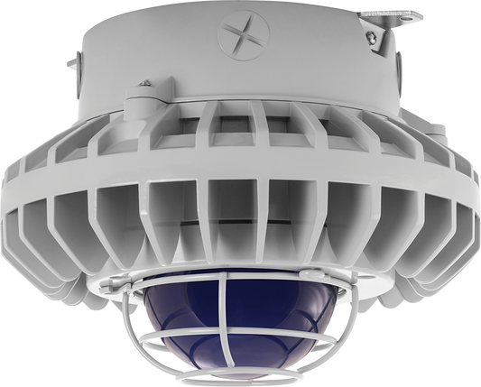 Hazardous Lighting, HAZXLED, 80W, blue frosted globe, wire gurad, gray