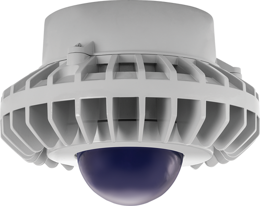 Hazardous Lighting, HAZPLED, 80W, blue frosted globe, gray