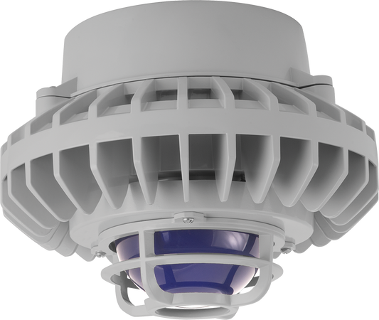 Hazardous Lighting, HAZPLED, 80W, blue frosted globe, die cast guard, gray