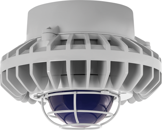 Hazardous Lighting, HAZPLED, 80W, blue frosted globe, wire gurad, gray