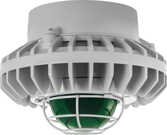 Hazardous Lighting, HAZPLED, 80W, green frosted globe, wire gurad, gray