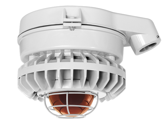 Hazardous Lighting, HAZSLED, 80W, amber frosted globe, wire gurad, gray