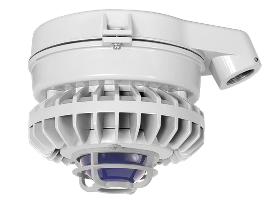 Hazardous Lighting, HAZSLED, 26W, blue frosted globe, die cast guard, gray