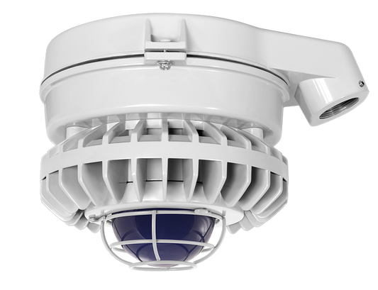 Hazardous Lighting, HAZSLED, 42W, blue frosted globe, wire gurad, gray