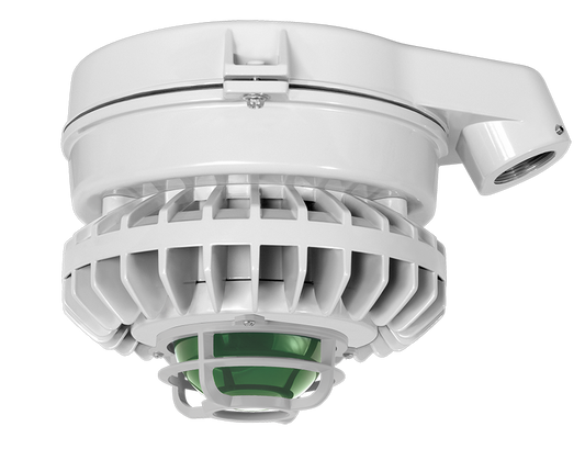 Hazardous Lighting, HAZSLED, 26W, green frosted globe, die cast guard, gray