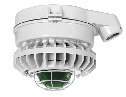 Hazardous Lighting, HAZSLED, 80W, green frosted globe, wire gurad, gray