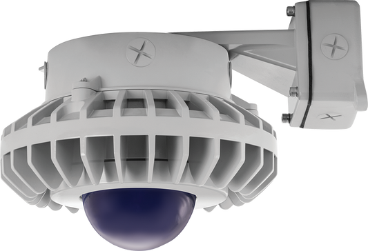 Hazardous Lighting, HAZBLED, 80W, 5000K, frosted blue globe, wall bracket, gray