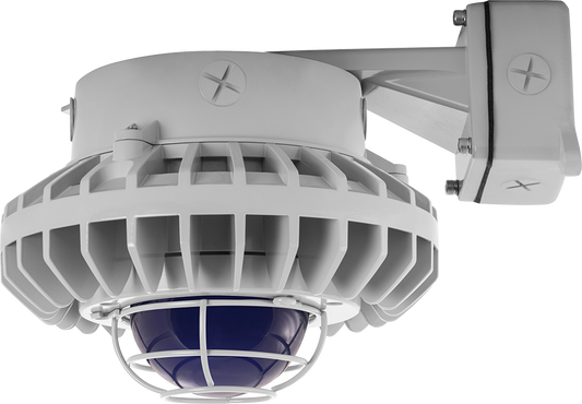 Hazardous Lighting, HAZBLED, 80W, 5000K, frosted blue globe, wire guard, wall bracket, gray