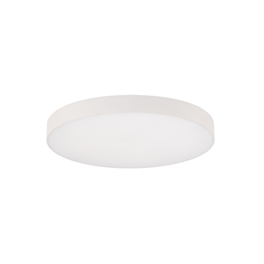 EDGELESS FLUSH MOUNT 12IN RND 5CCT WHITE