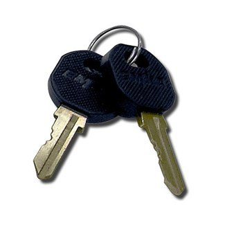 Replacement Keys for Z1000 Zone Enclosures. Includes 2 keys