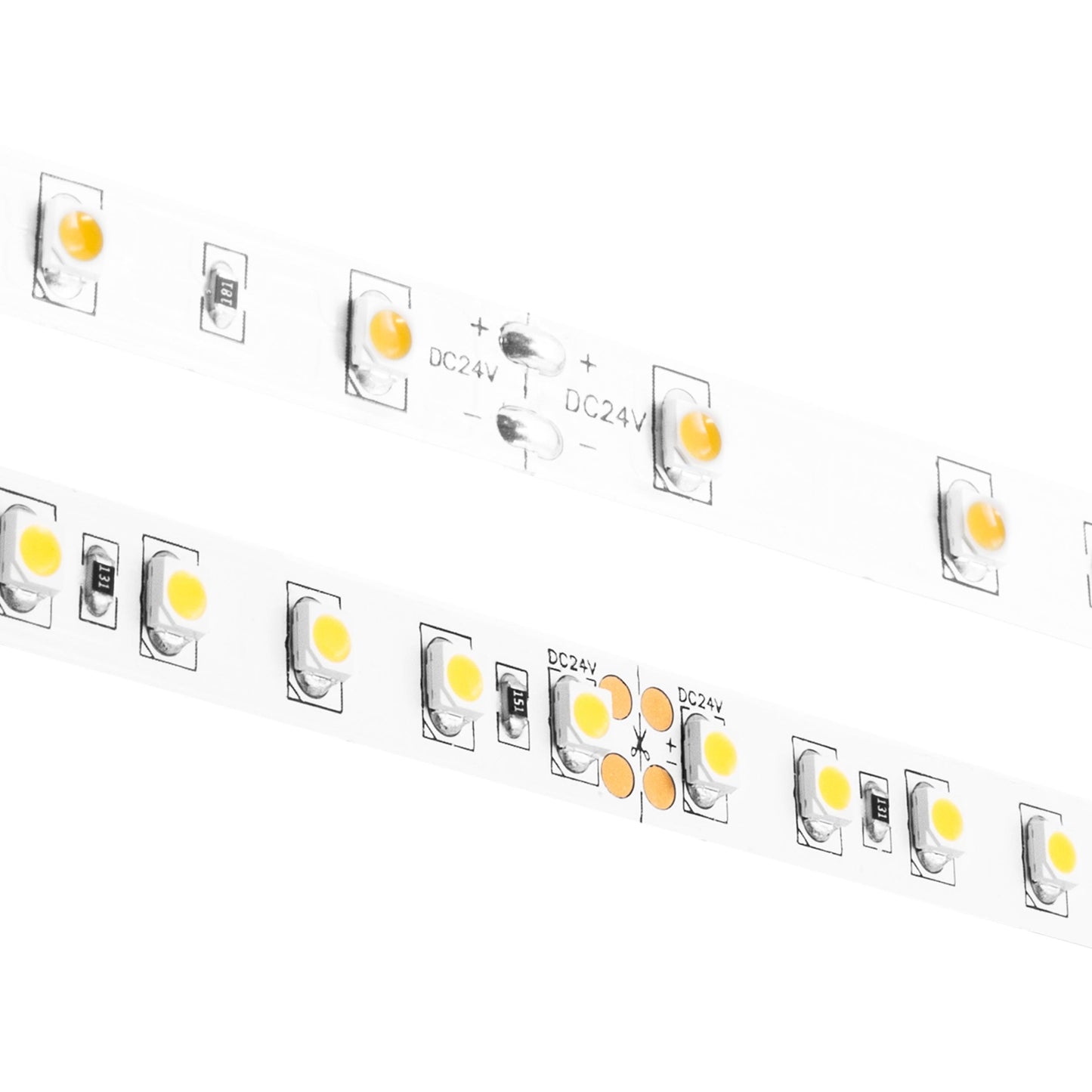 BLAZE LED Tape Light 24V