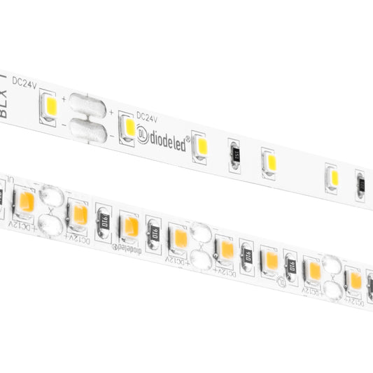 BLAZE X LED Tape Light 24V