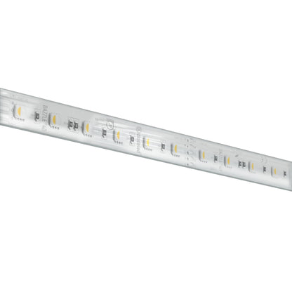 DAZZLE 24 RGBW 4D LED Tape Light - 24V, 16.4 ft.