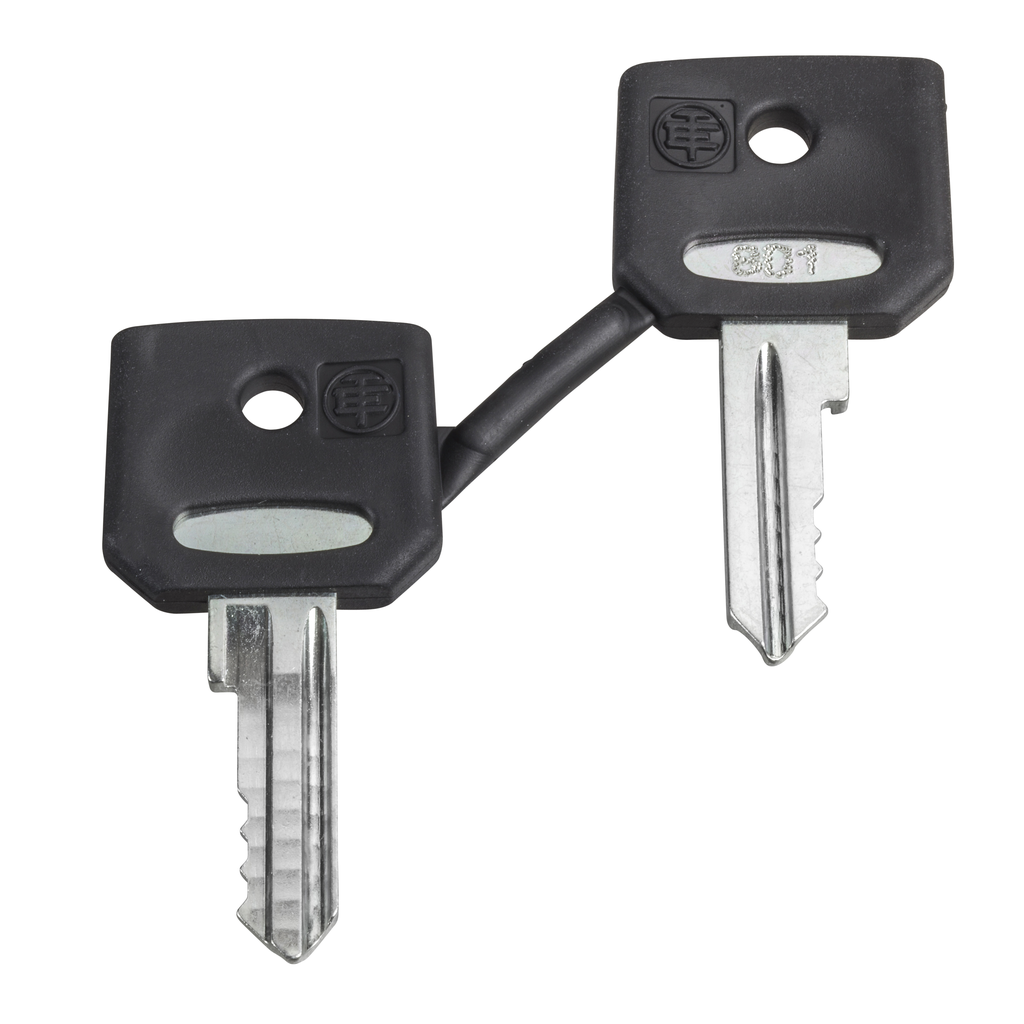 set of 2 keys 4A185