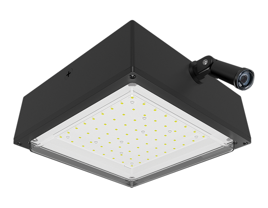 Canopylights 5028 Lumens Vanled 52W 4K drop clear 0-10V bronze 120V swivel lightcloud controller