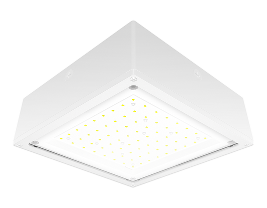 Canopylights 11012 Lumens Vanled 75W 4K flat clear 0-10V white 480V lightcloud controller