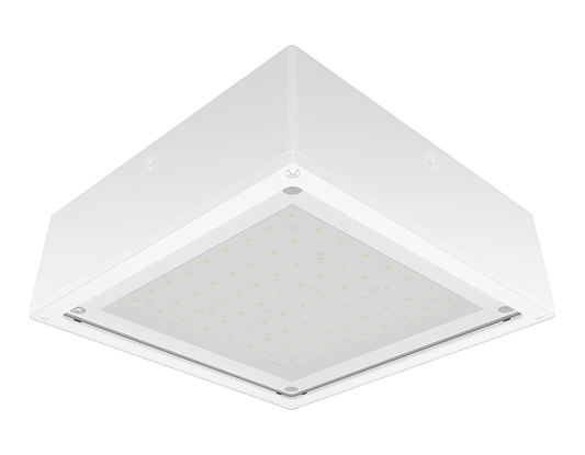 Canopylights 5775 Lumens Vanled 40W 4K flat frost 0-10V white 480V lightcloud controller