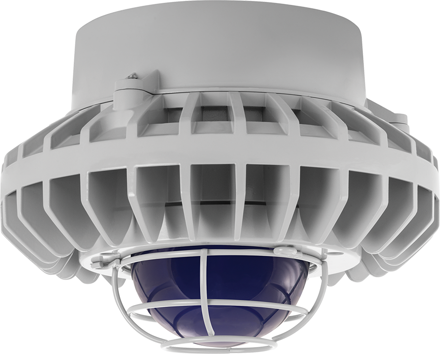 Hazardous Lighting, HAZPLED, 80W, blue frosted globe, wire gurad, gray