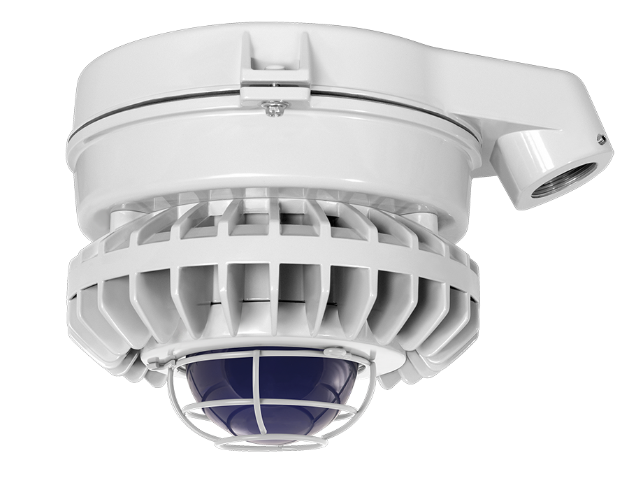 Hazardous Lighting, HAZSLED, 26W, blue frosted globe, wire gurad, gray